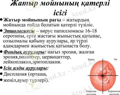 Николь Коко Остин порно фотосуреттер