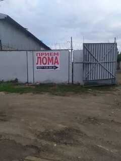 Северный пугачев