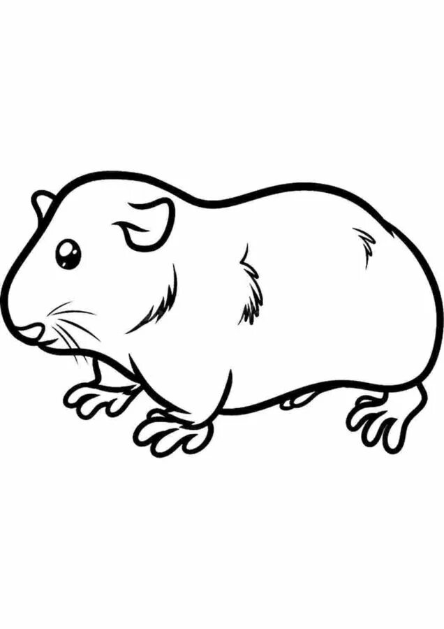 Морская свинка раскраска для детей распечатать Prehistoric creatures способ