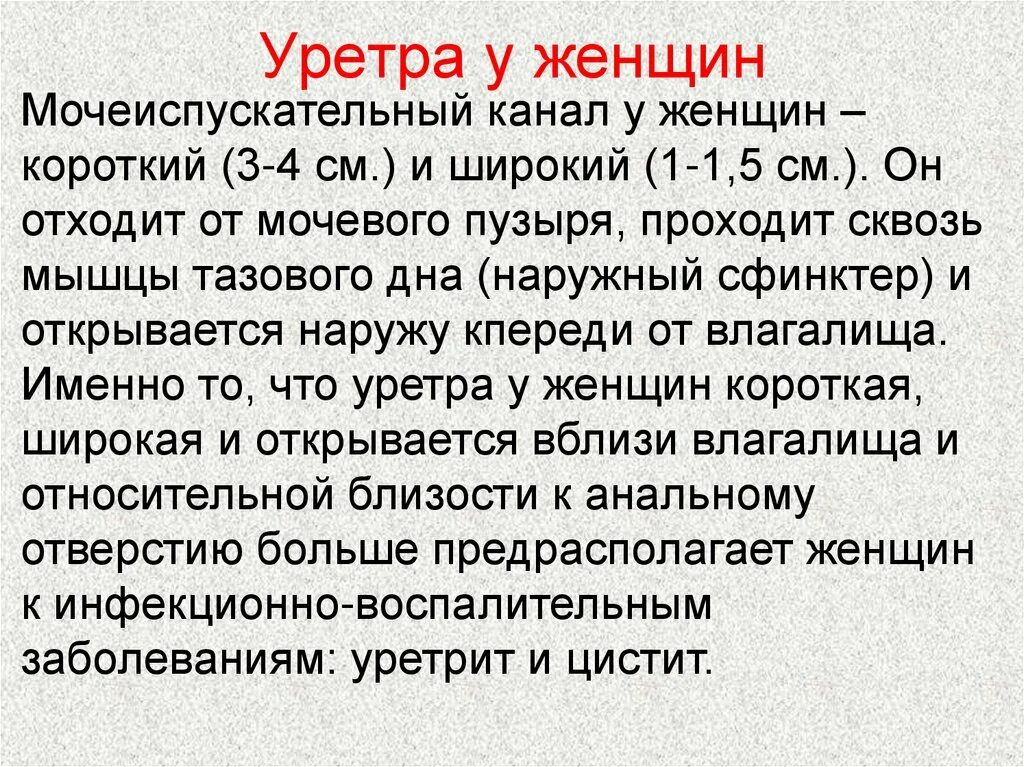 Особенности строения мочеиспускательного канала. Мочеиспускательный канал у женщин. Сфинктеры мочеиспускательного канала у мужчин. Длина мочеиспускательного канала. Сфинктер уретры у женщин.