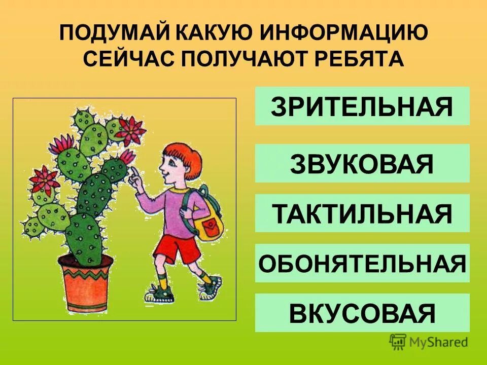 Какие могут быть доказательства. Какие качества присущи личности. Функции услуги банка. Составь подобную пару. Установи связь между словами в левой части.