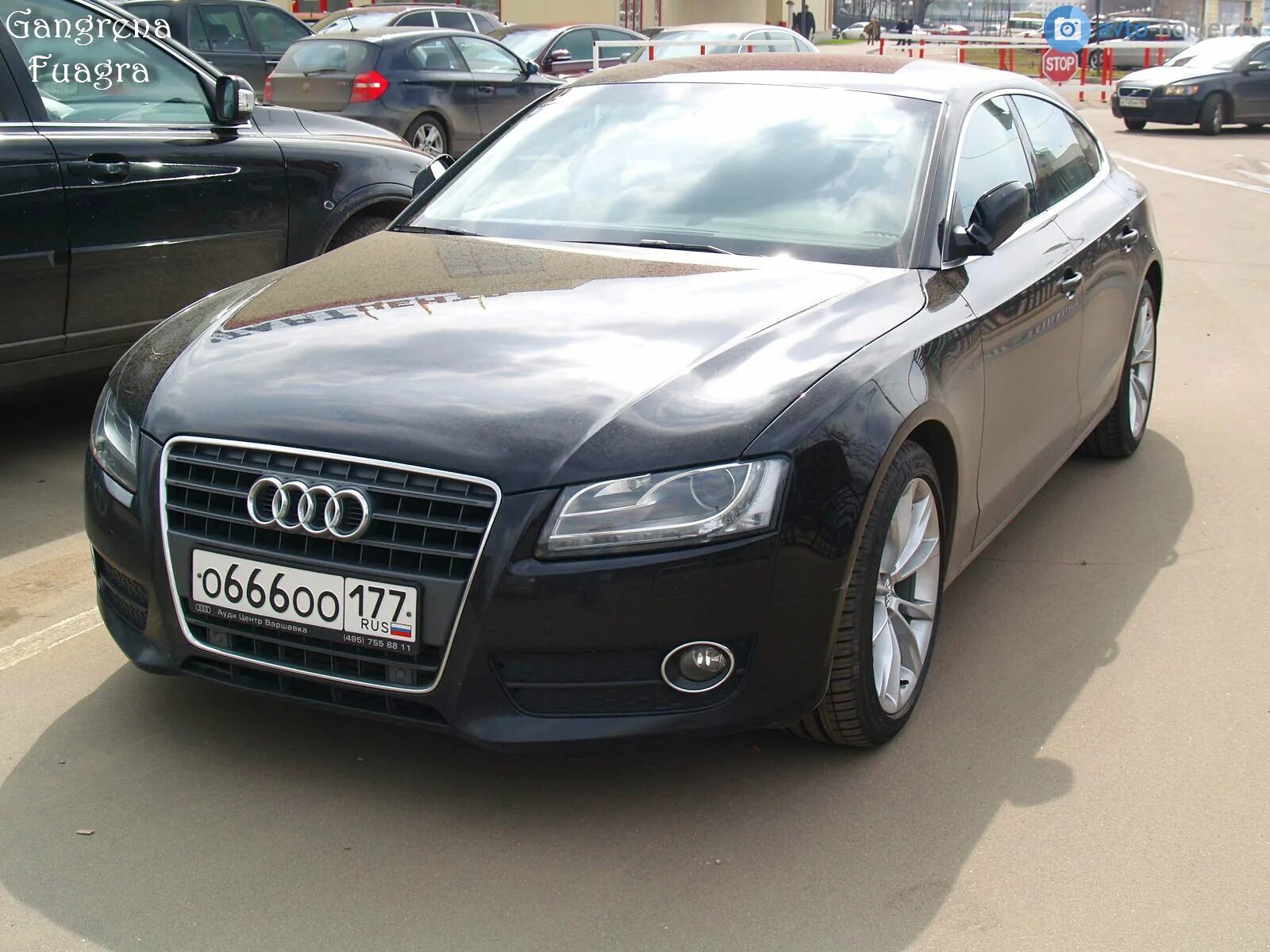 Audi a5 666 40. Ауди а6 номера 666. Номера на Ауди с8. Ауди а6 777.