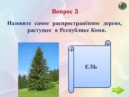 Ели вопрос