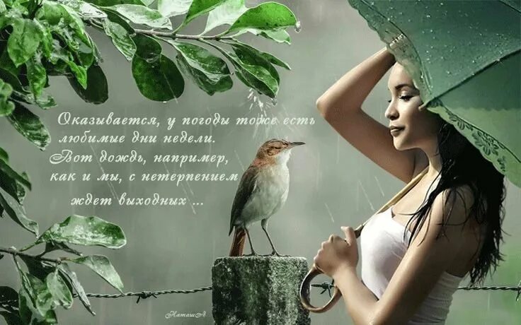 Открытки с добрым дождливым утром. Хорошего настроения в любуютпогоду. Открытки с добрым утром c природой. Весенние цветы в вазе. Дождливое утро.