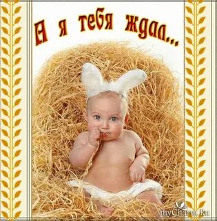 Милый дорогой тебя я жду