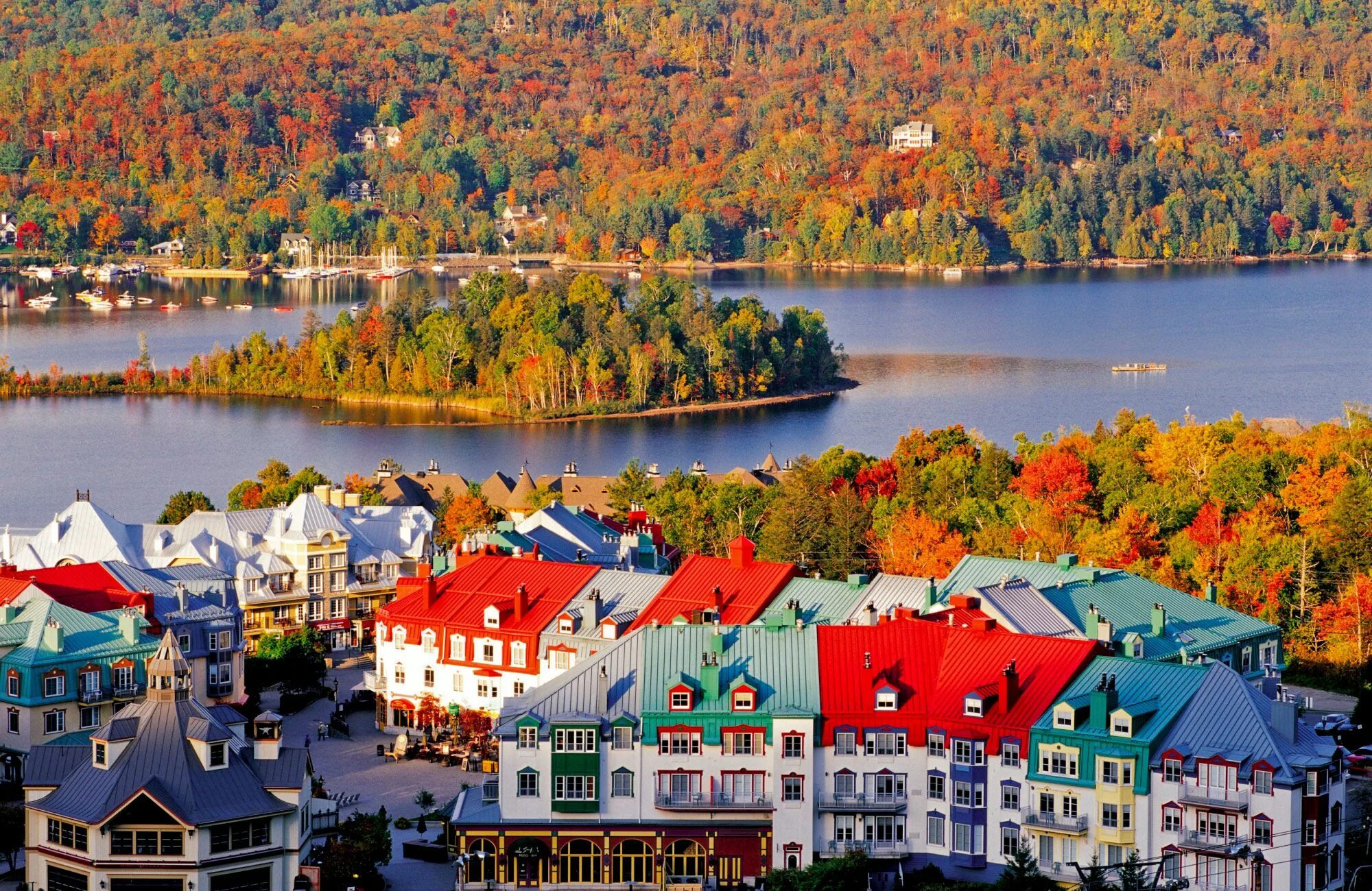 Квебек Канада. Лес Квебек Канада. Mont-Tremblant National Park. Канада Лаврентийский национальный парк.