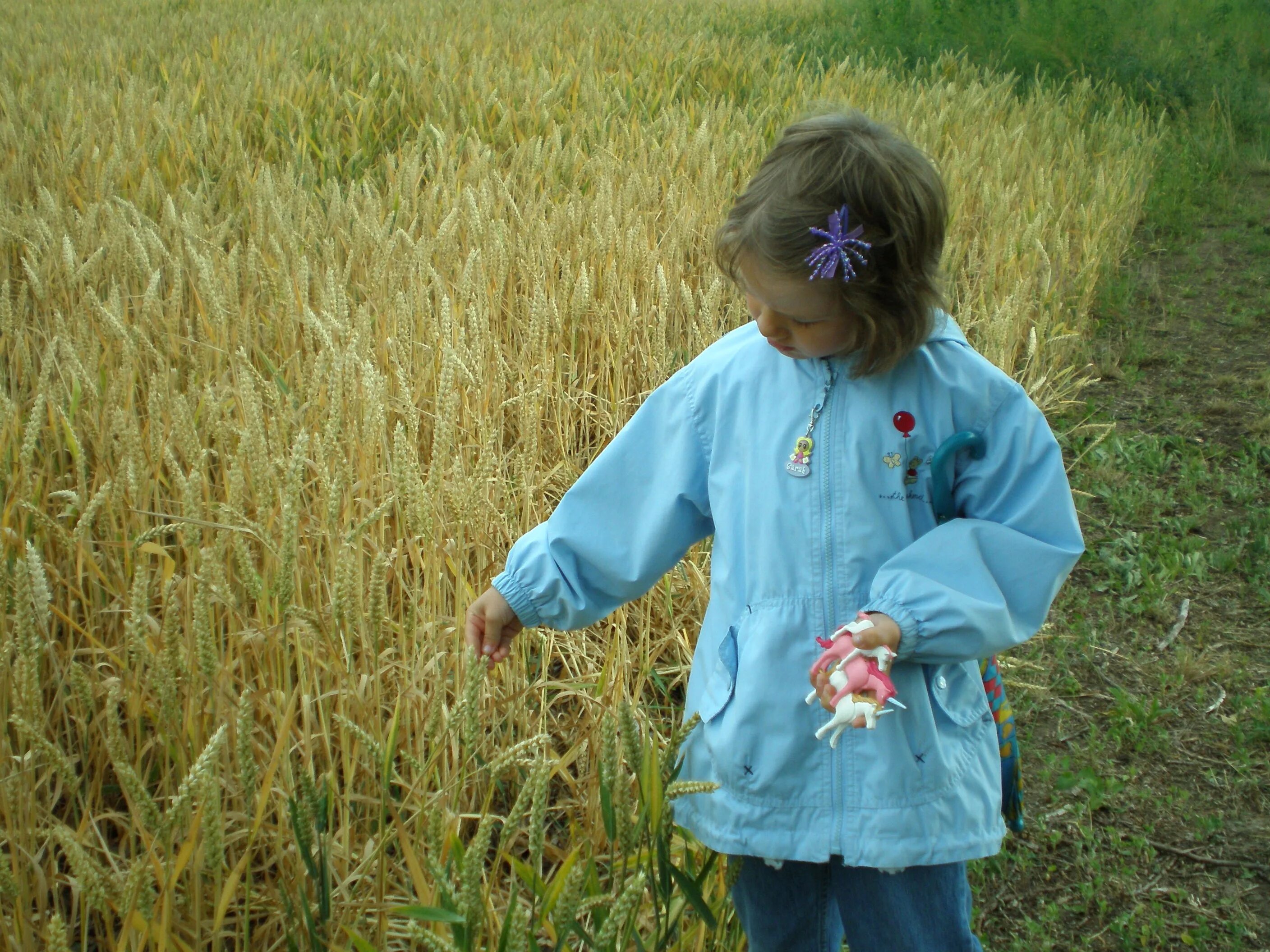 Field children. Дети в поле. Сельское хозяйство для детей. Девочка в поле. Дети в поле с колосьями.