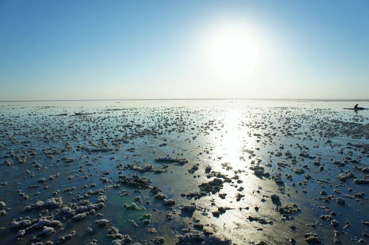 Соленое озеро в волгоградской области. Эльтон какое озеро. Озеро эльтон волгоградская область. Озеро эльтон. Эльтон и баскунчак.
