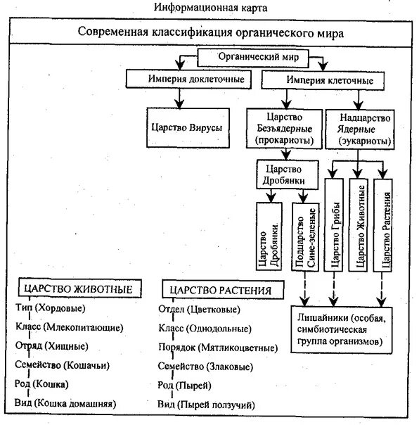 Составить классификацию выбранных организмов