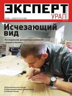 Эксперт книги