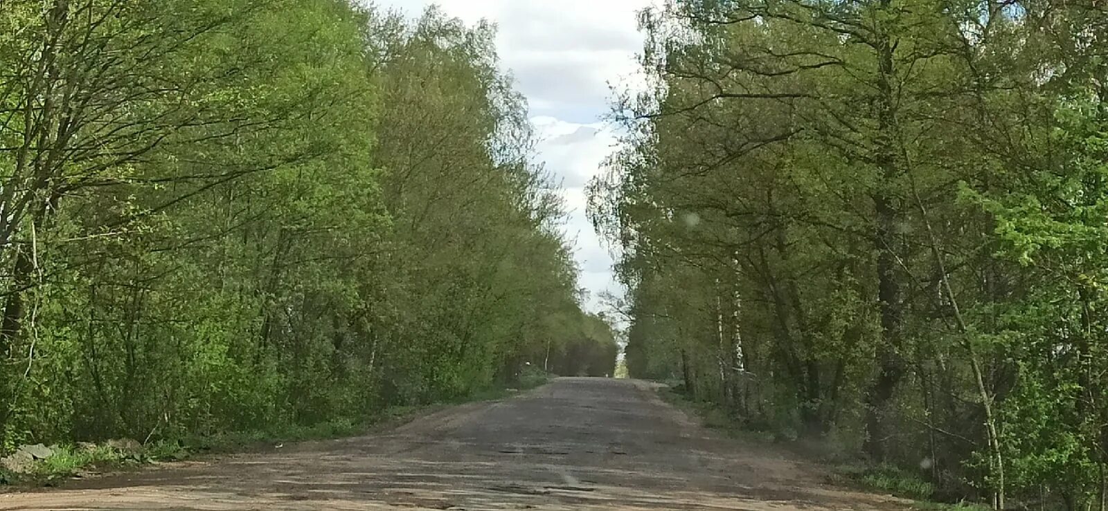 Коржовка-Голубовка Клинцовский Брянская область. Мельяковка Клинцовский район. Рудня Голубовка. Деревня Рудня-Голубовка. Погода в коржовке голубовке