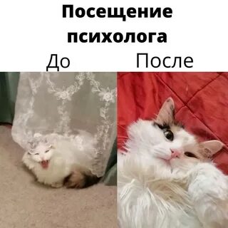 Не работаю на 3 курсе