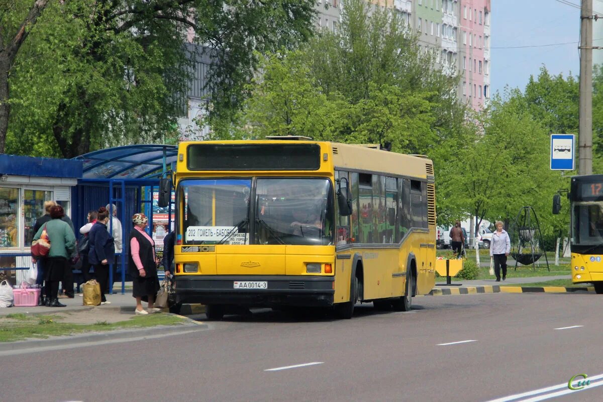 42 автобус гомель. Гомель общественный транспорт. Автобус гомельчанин модель. Аа14. Автобусы в Гомеле фото.