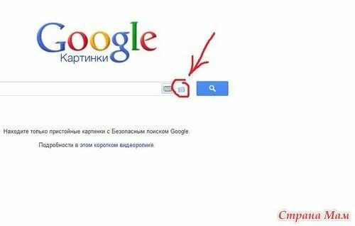 Корзина гугл фото. Корзина гугл фото. Как называется корзина в андроид. Как найти гугл корзину. Гугл диск фото.