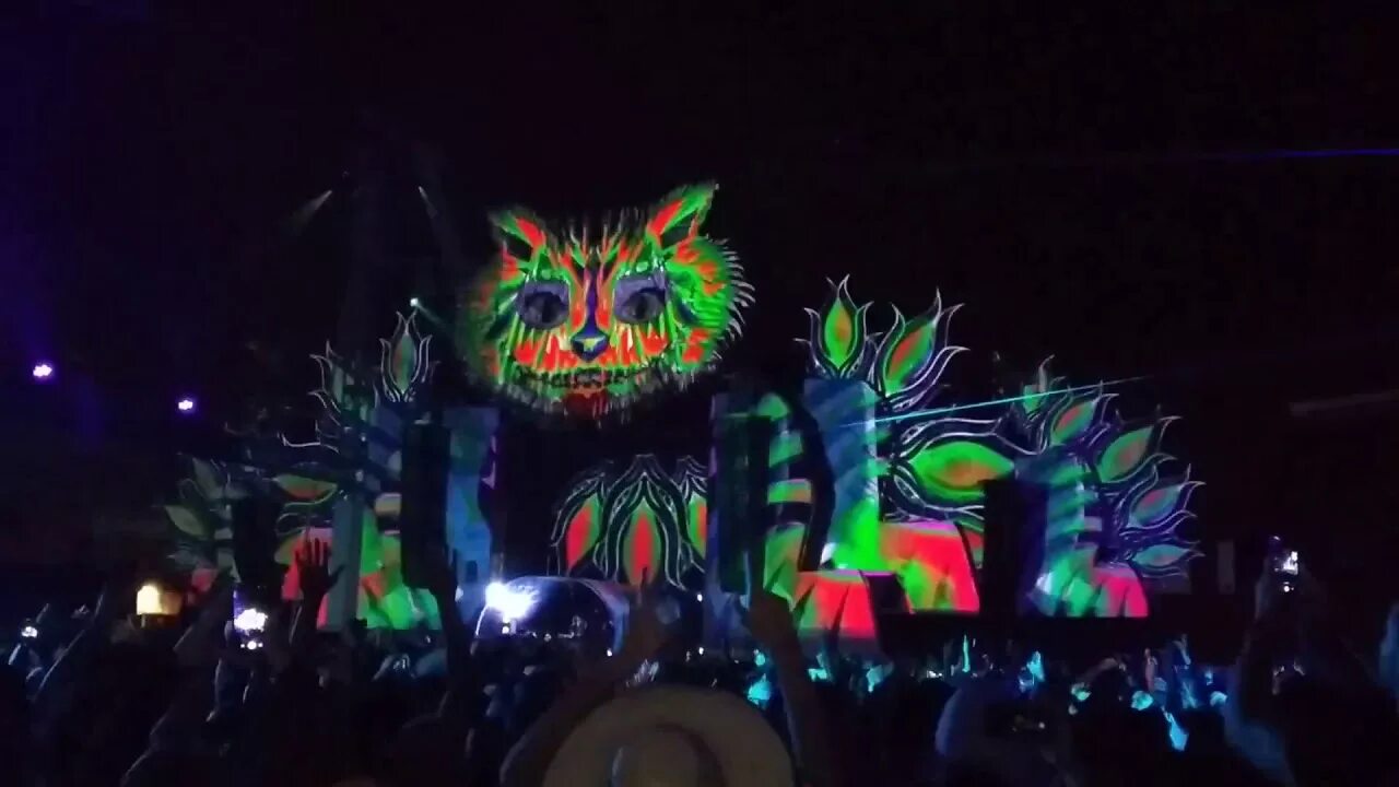 Vini vici hilight tribe. Vini vici hilight tribe