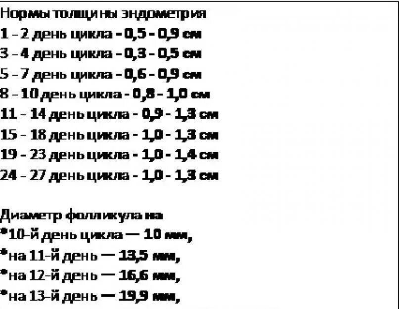 Эндометрий 14 день