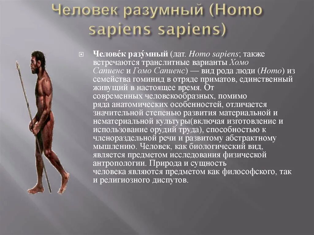 Человек разумный является