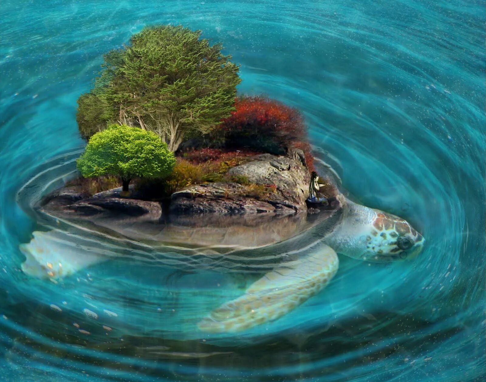 People live on islands. Ясконтий. Черепаха и остров. Кочующие острова черепахи. Черепаший грот Family Island.