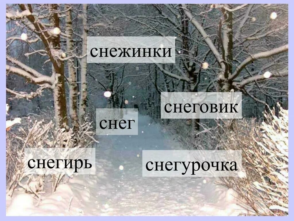 Дерево с однокоренными словами снег. Семья слов снег. Проект семья слов снег. Семья слов снег проект по русскому. Черным снегом слова