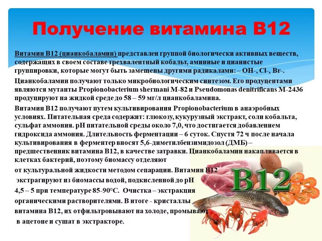 Б 12 польза. Витамин б12 биотехнология. Технология получения витамина в12. Микробиологический Синтез витамина б12. Схема биотехнологического производства витамин в 12.