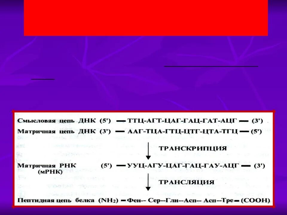 Смысловая и транскрибируемая цепь днк решение. Смысловая кодирующая цепь ДНК. Названия цепей ДНК матричная и. Смысловая цепь и транскрибируемая цепь ДНК. Матричная транскрибируемая цепь ДНК.