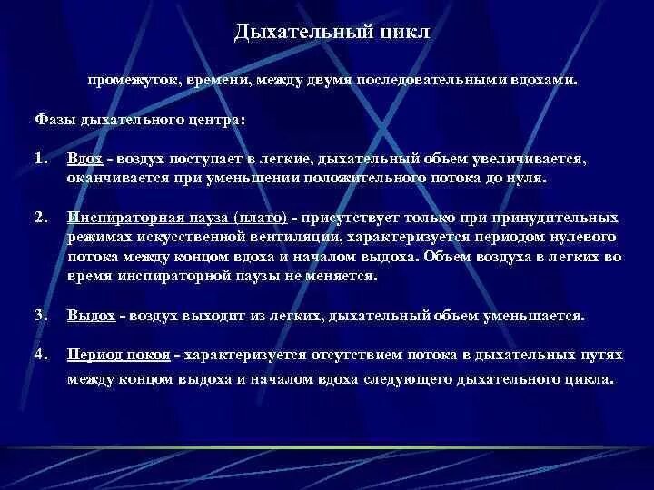 Как распределяются функции между дыхательной
