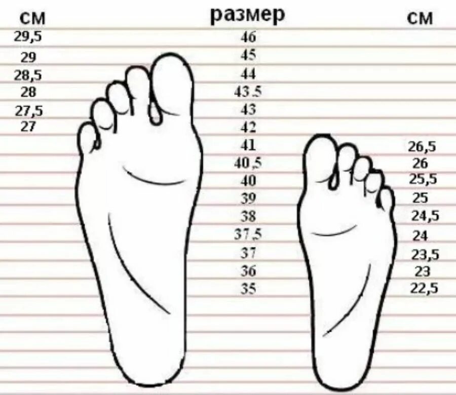 Размер стельки 43 размера обуви. Размер стопы. Размер ноги и стопы. Размер стопы и обуви.