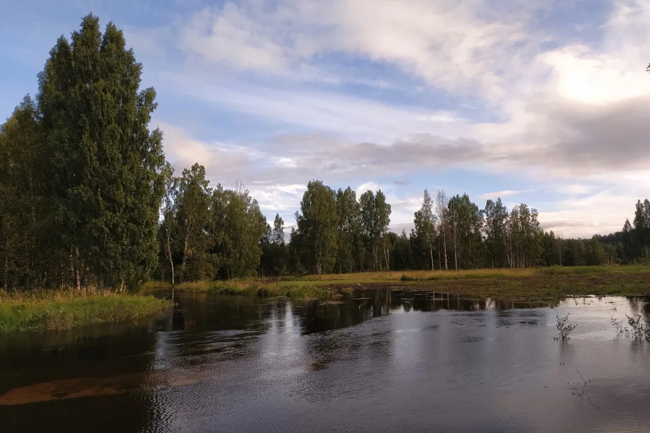 Река рог. Подмосковье. Река Читинка. Река Ингулец. Карелия.