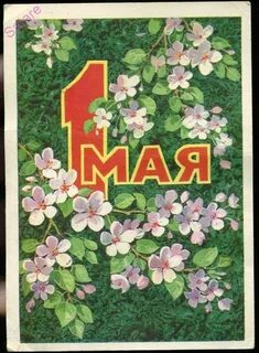 Карта дня на 1 мая 2024