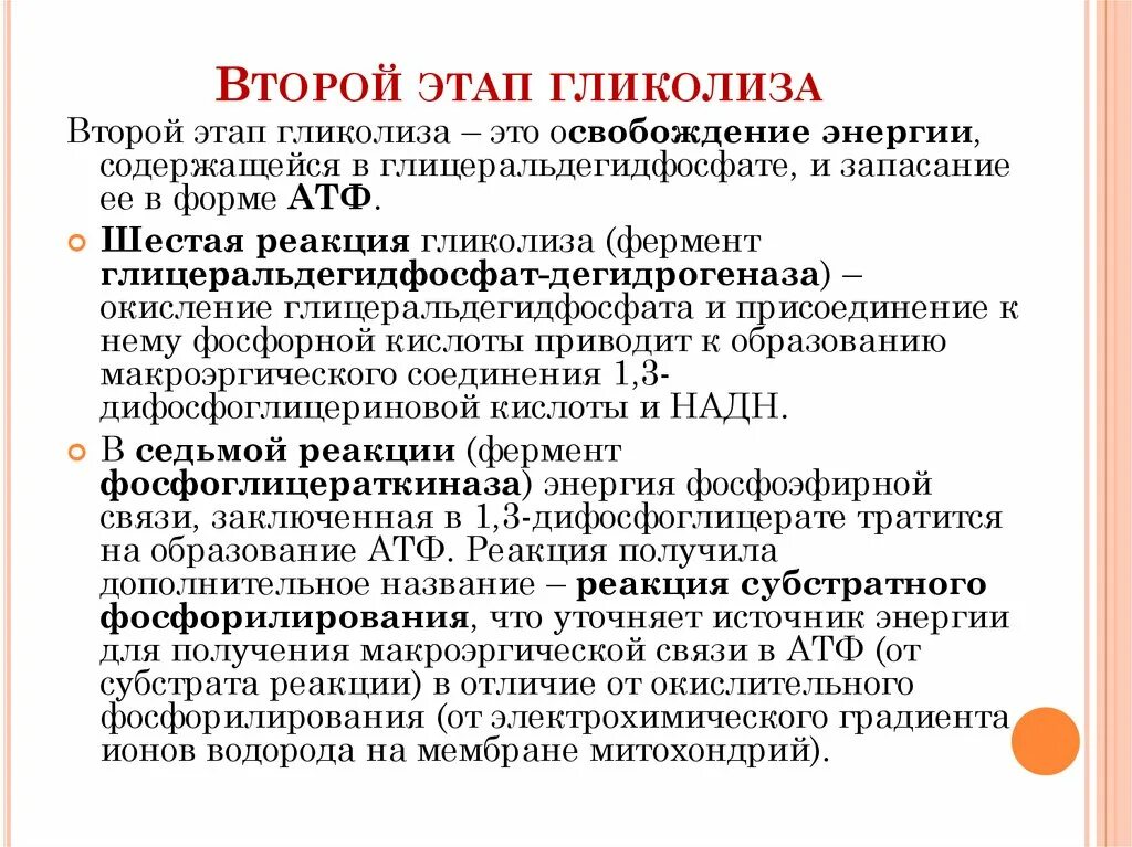 Этапы окислительного фосфорилирования. Окислительное фосфорилирование реакции. Окислительное фосфорилирование формула. Функции окислительного фосфорилирования.