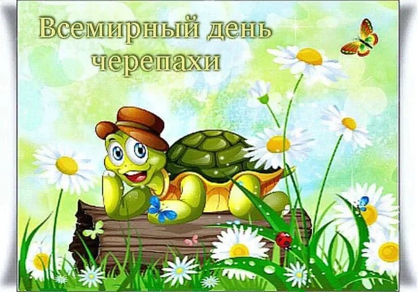Всемирный день черепахи. Всемирный день черепахи 23 мая. День Черепашки в детском саду. Открытка с черепахой. День рождения 23 июня