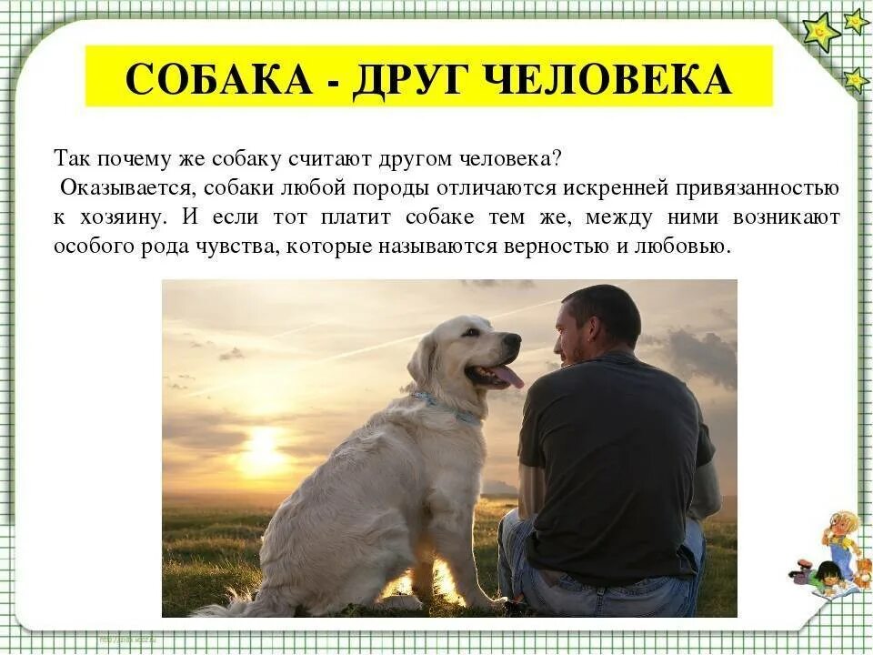 Для чего нужна собака человеку. Собака друг человека сочинение. почему собака друг человека. человек собаке друг текст. собака друг человека объяснение.
