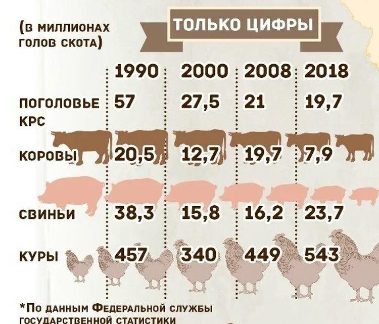 Поголовье крупного рогатого скота. Поголовье это сколько. Поголовье это сколько. Численность лошадей по годам. Поголовье это сколько.