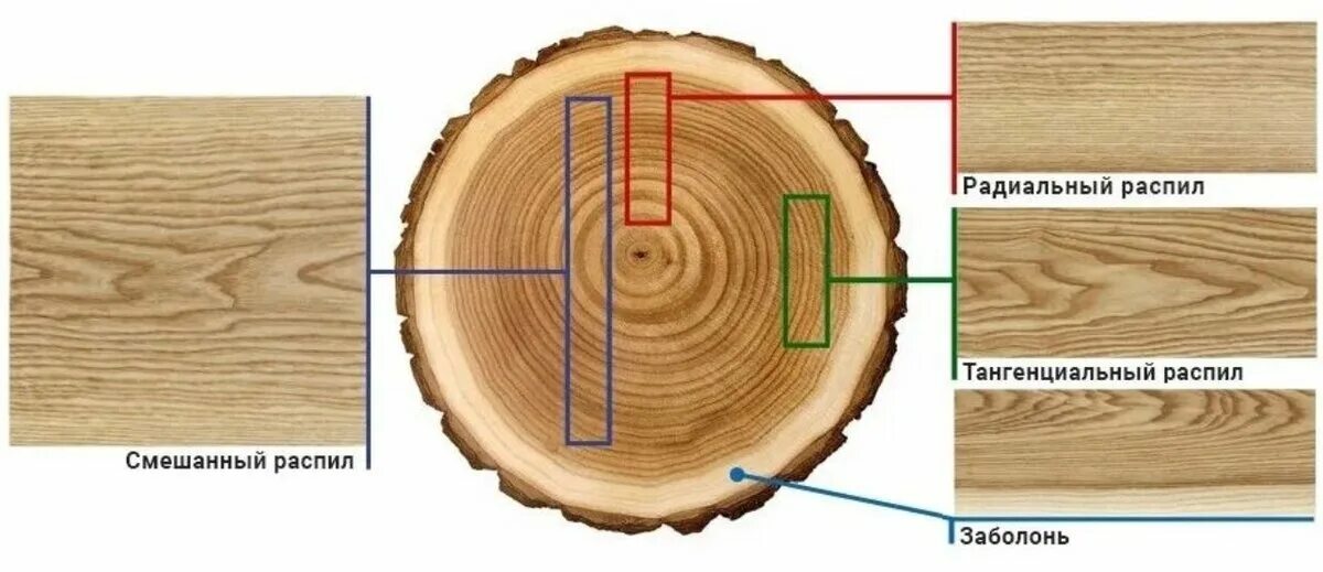 Радиальный и тангенциальный распил древесины. Шпон дуба тангенциальный. Тангентальный распил древесины и радиальный распил древесины. Тангентальный срез древесины.