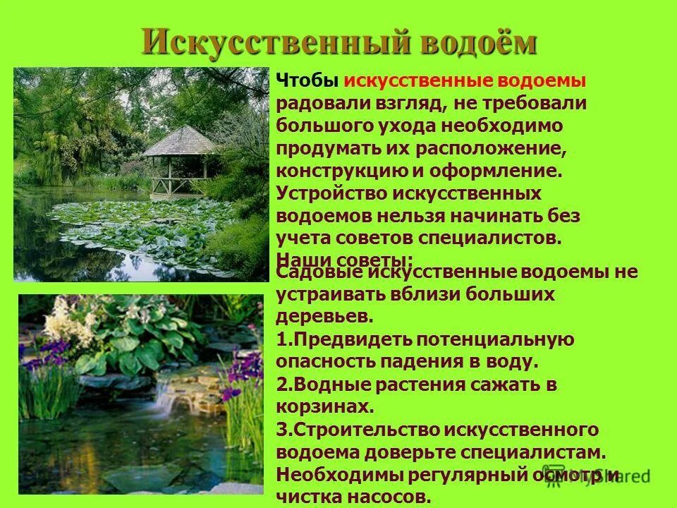 Общая характеристика искусственных водоемов. Характер водоема. Особенности пруда. Характеристика водоемов. Общая характеристика искусственных водоемов.