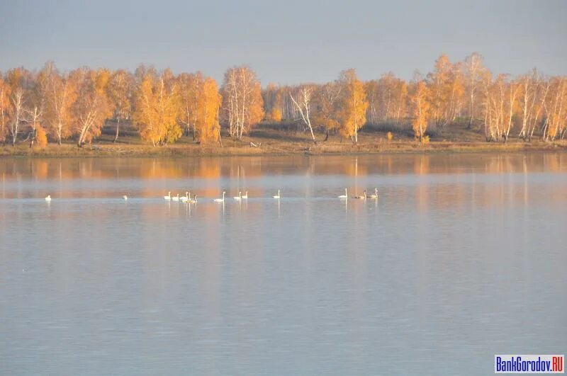 Погода г курганская область. Деревня воздвиженка курганской области целинного района. озеро в воздвиженке курганская область. озеро писарево курганская область. парк целинное курганская область.