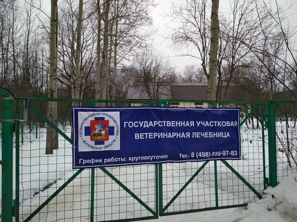 бородинская ветлечебница можайский. узловая, узловая. участковая ветлечебница. участковая ветлечебница. апрелевский ветеринарный центр апрелевка.