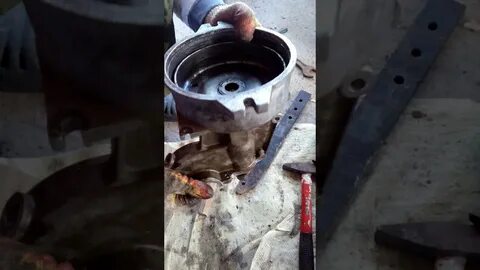 Сальник тарпан