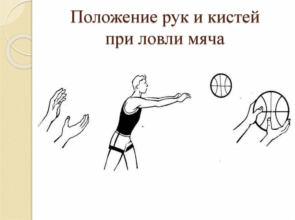 Ловля и передача в движении. Ловля мяча в баскетболе. Техника ловли мяча в баскетболе. Ловля мяча двумя руками в баскетболе. Техника ловли и передачи мяча.