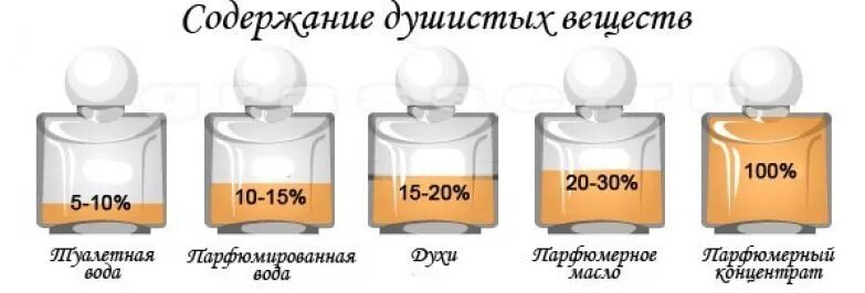 Духи одеколон туалетная вода парфюмерная вода. Чем отличается парфюмированная вода от духов. Духи парфюмерная вода и туалетная вода отличия. Туалетная и парфюмированная вода отличия. Парфюмированная вода или духи