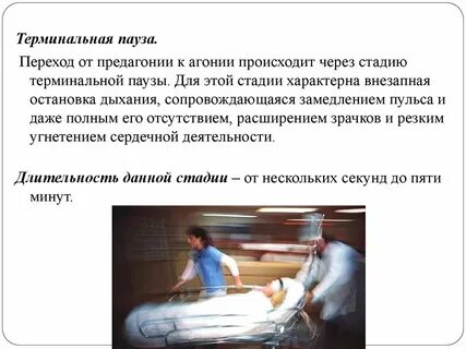 Термальная стадия что это