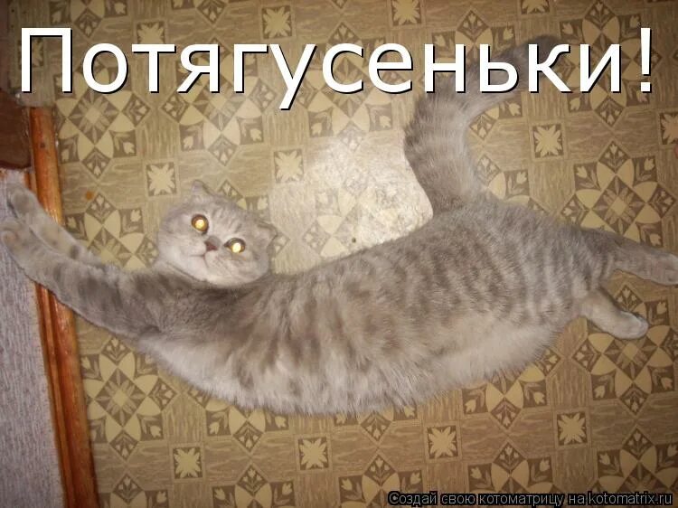 Я умею все. Смешные картинки с надписями про людей с сарказмом. Жизнь научила меня. Смешные цитаты про пение. Я не умею показывать.