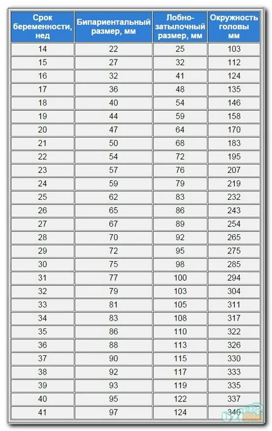 Окружность головы 32. Диаметр живота плода по неделям беременности таблица. Таблица фетометрии плода. Размеры головы плода по неделям беременности таблица. Таблица параметров УЗИ плода по неделям.