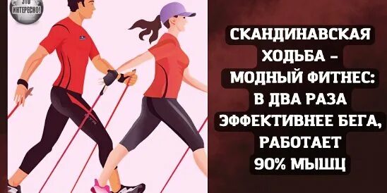 Скандинавская ходьба или бег. Тренажер скандинавская ходьба. Нордик волкинг. Скандинавская ходьба молодежь. Человек с палками для скандинавской ходьбы.