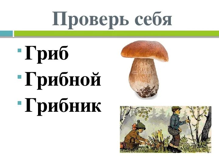 Слово гриб. Гриб однокоренные слова. Гриб однокоренные. Гриб грибной однокоренные слова. Однокоренные Сова гриб.