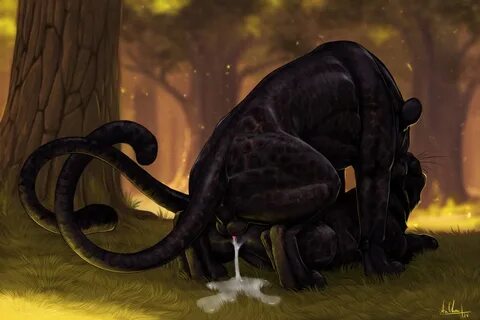 anchee, black panther, 2018, animal genitalia, animal penis, animal pussy, ...