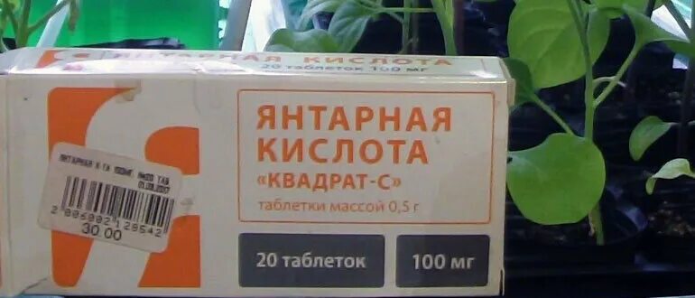 Можно ли подкормить перец янтарной кислотой. Янтарная кислота для рассады в таблетках. подкормка рассады янтарной кислотой. янтарная кислота для рассады томатов. полив рассады янтарной кислотой.