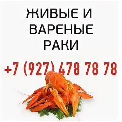 Лучшие друзья раков