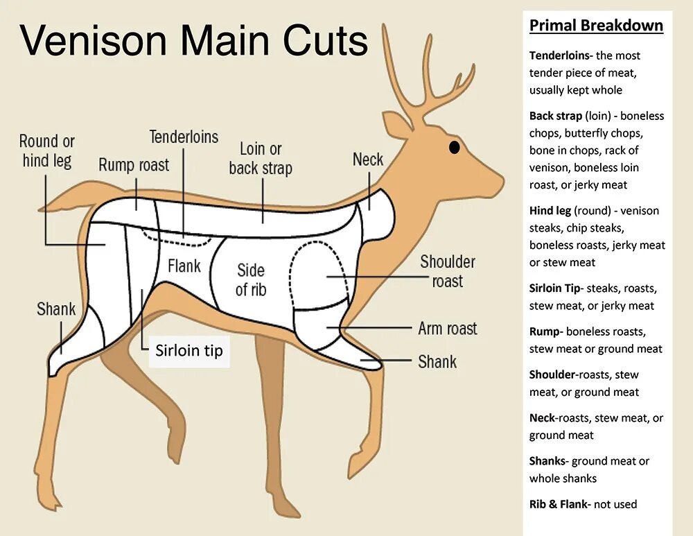 Какая часть лося. Разделка туши оленя схема. Схема разделки оленя. Разделка туши косули схема. Схема разделки оленины.