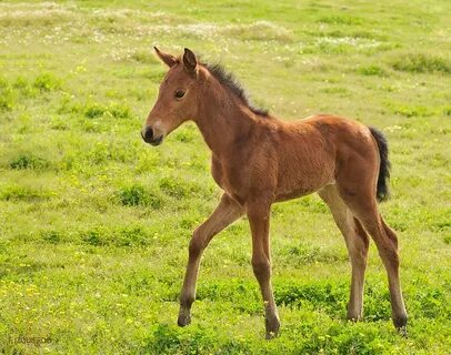 Міне, порно қайын ене